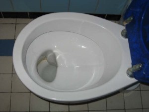 german_shelf_toilet