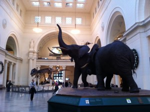 get-attachment-5.aspx